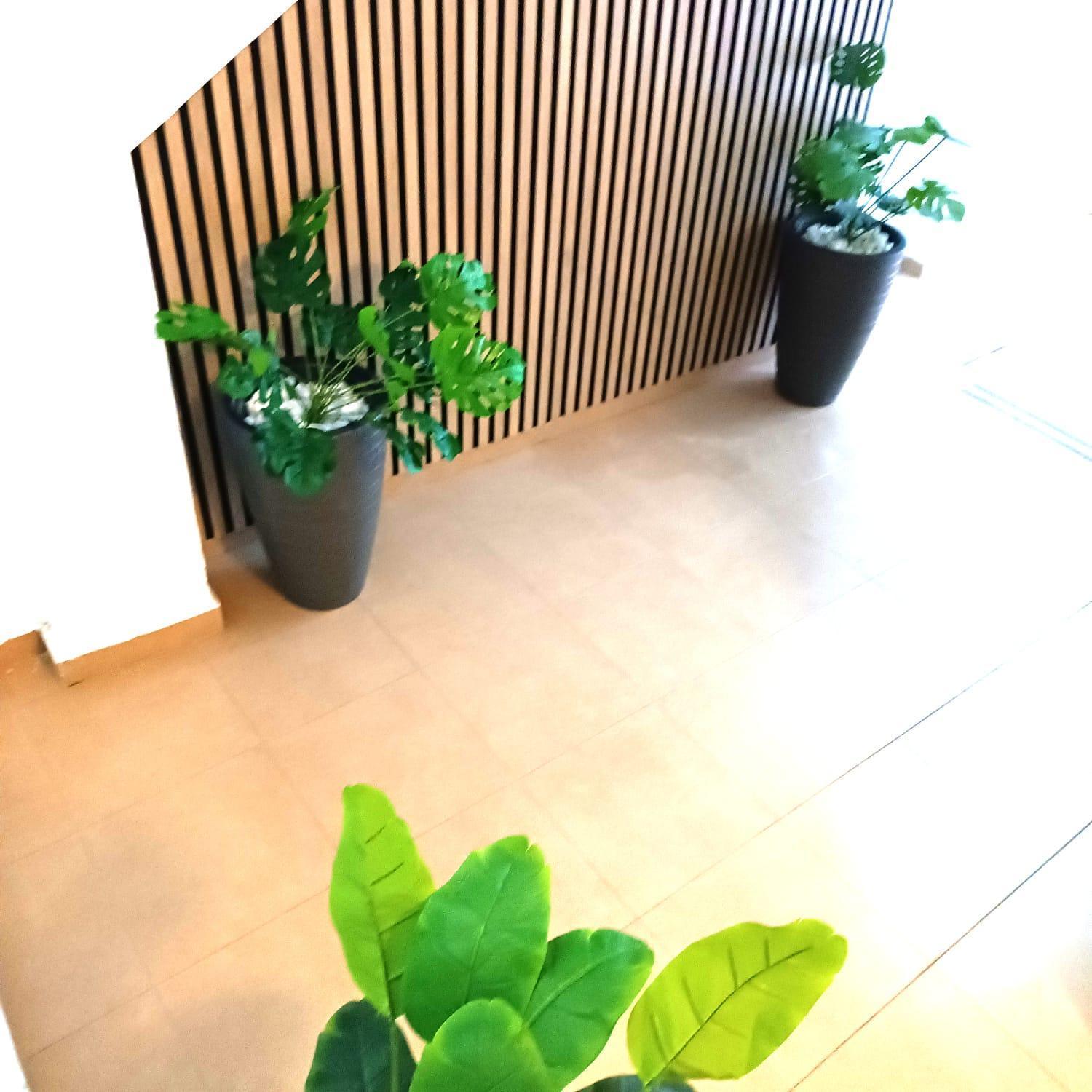 Apartamentos Terrazas De San Juan マラガ エクステリア 写真