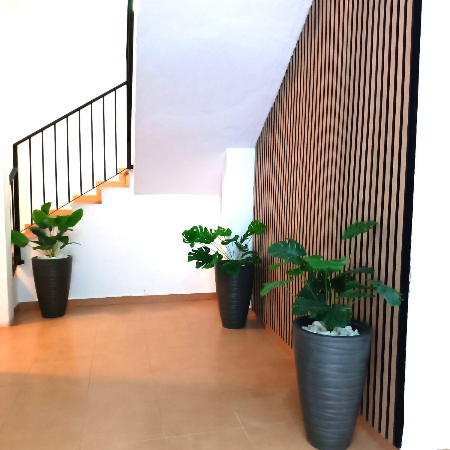 Apartamentos Terrazas De San Juan マラガ エクステリア 写真